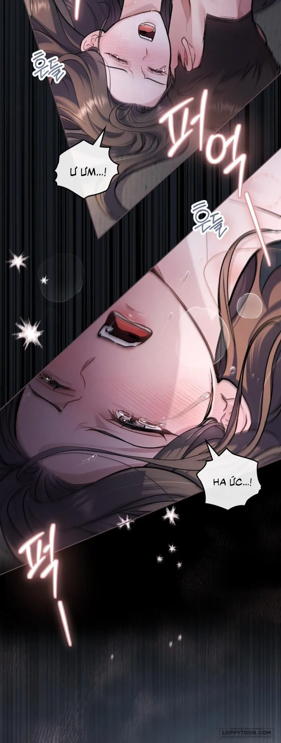 Kết Hôn Với Kẻ Tâm Thần - Chap 29 - Trang 12