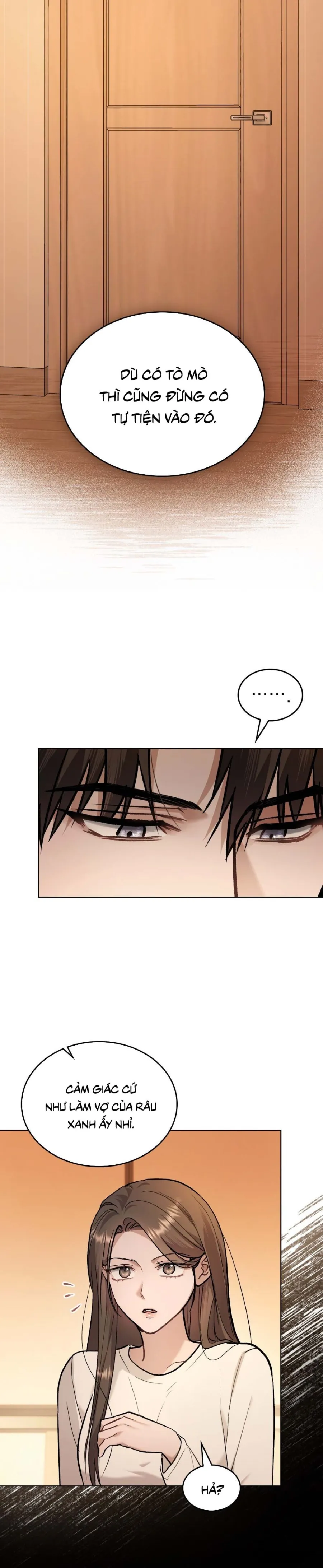 Kết Hôn Với Kẻ Tâm Thần - Chap 52 - Trang 12