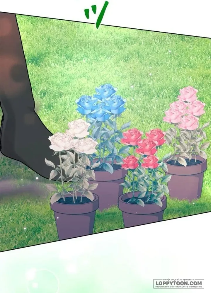 Không Cần Hối Hận - Chap 25 - Trang 67