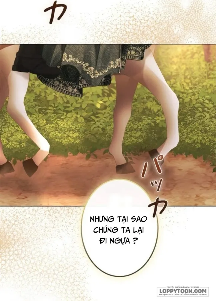 Không Cần Hối Hận - Chap 26 - Trang 43