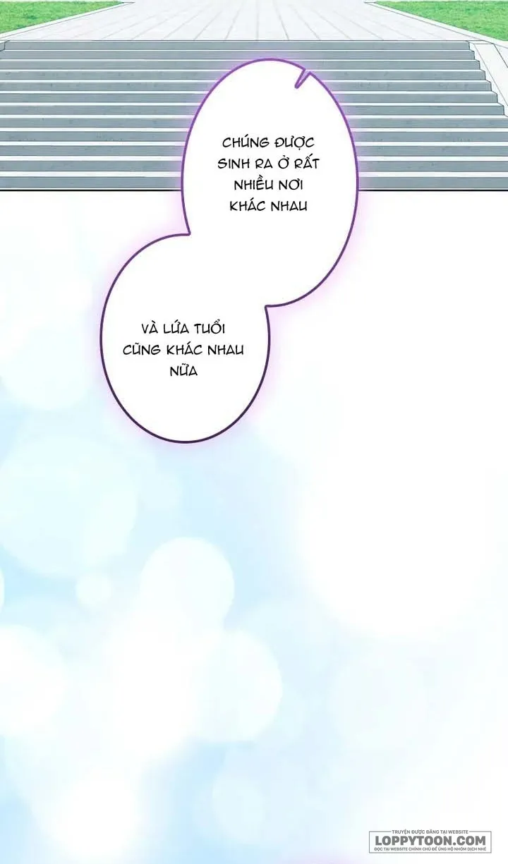 Không Cần Hối Hận - Chap 29 - Trang 14