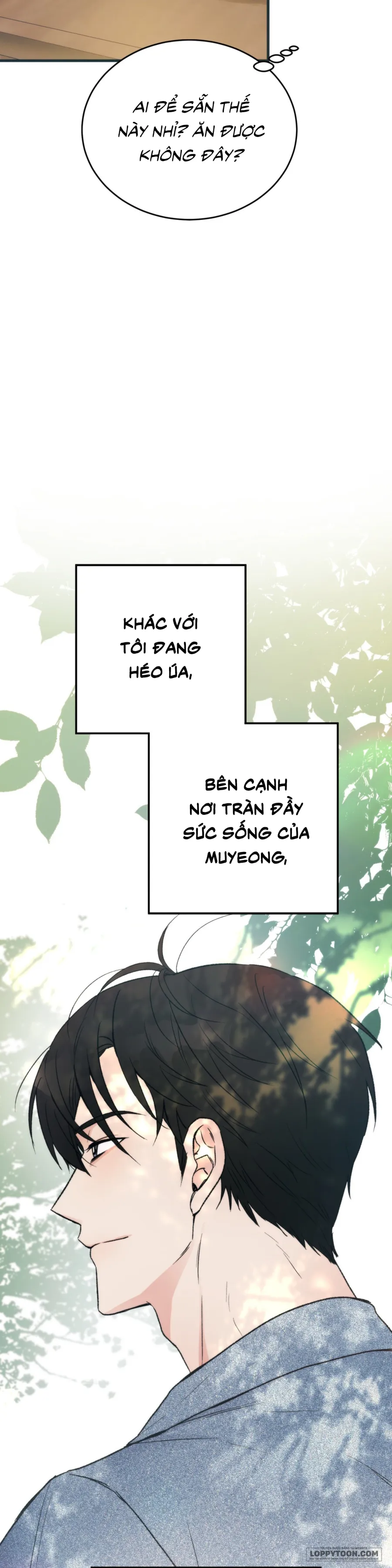 [KHÔNG CHE] Khúc Hát Giữa Mùa Hè - Chap 2 - Trang 8