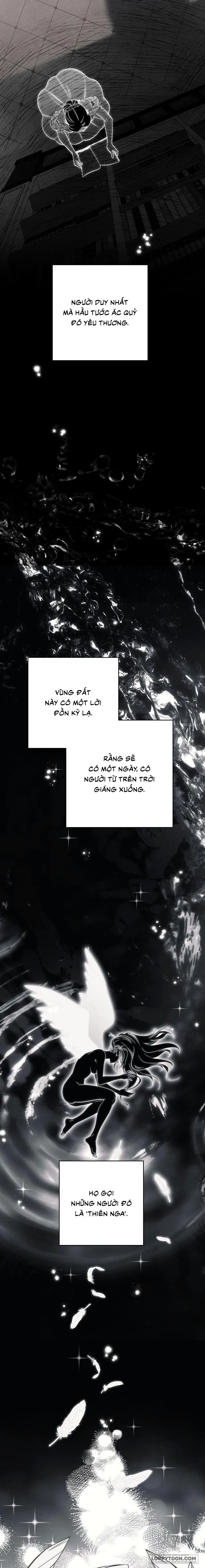 [KHÔNG CHE] Mộ Thiên Nga - Chap 1 - Trang 6