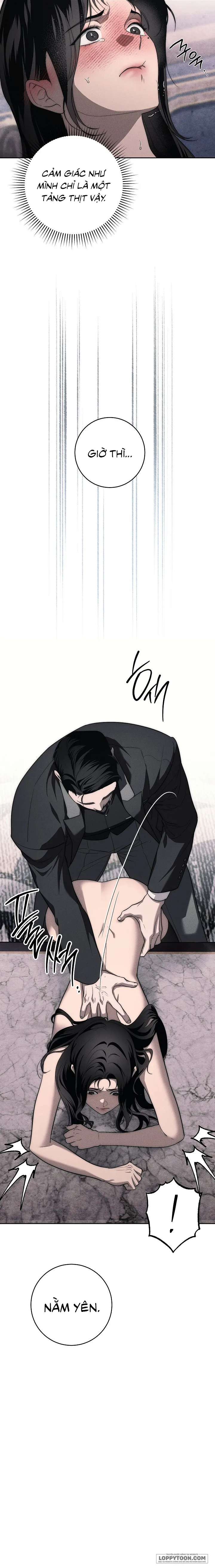 [KHÔNG CHE] Mộ Thiên Nga - Chap 10 - 🔞 - Trang 15
