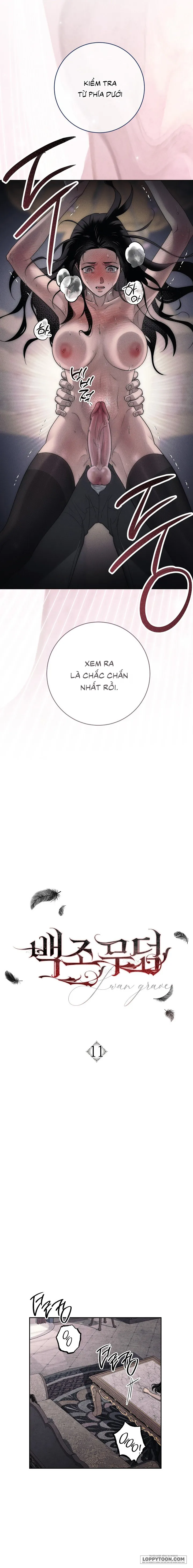 [KHÔNG CHE] Mộ Thiên Nga - Chap 11 - 🔞🔞🔞 - Trang 0