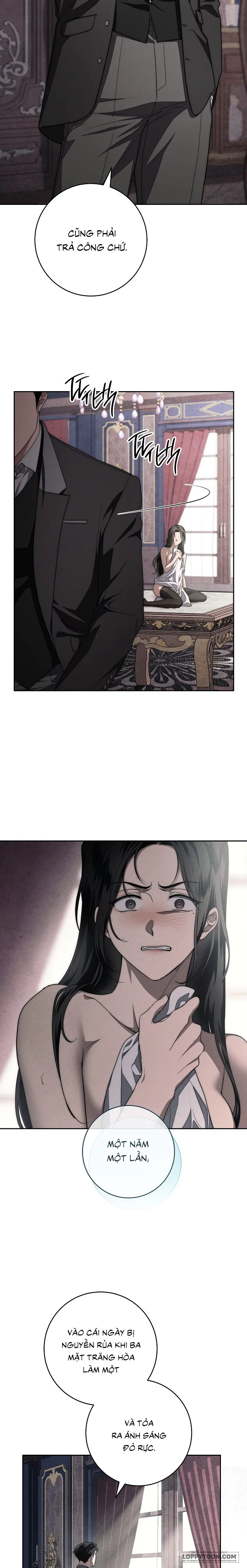 [KHÔNG CHE] Mộ Thiên Nga - Chap 11 - 🔞🔞🔞 - Trang 16