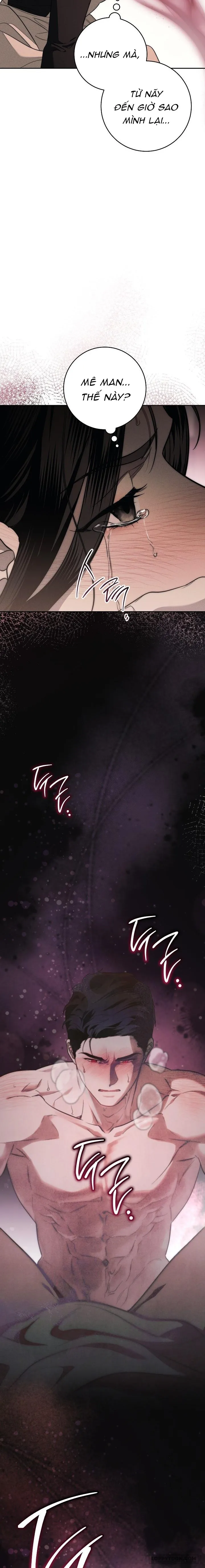[KHÔNG CHE] Mộ Thiên Nga - Chap 2 - 🔞🔞🔞 - Trang 11