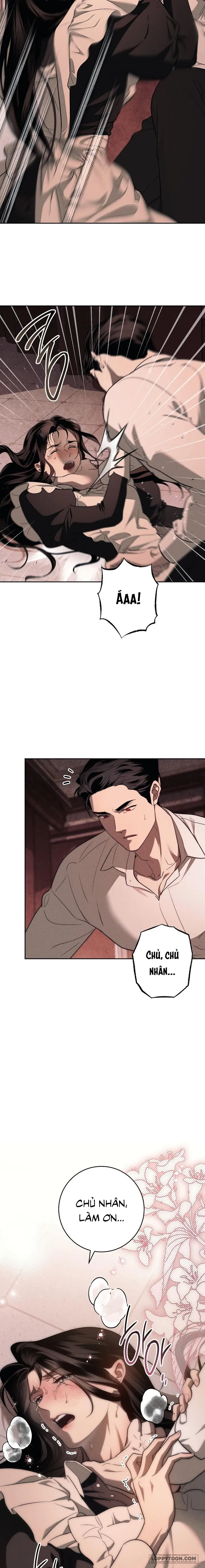 [KHÔNG CHE] Mộ Thiên Nga - Chap 2 - 🔞🔞🔞 - Trang 14