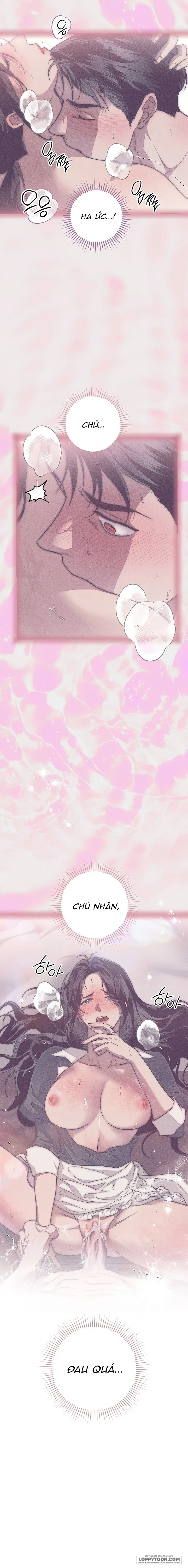 [KHÔNG CHE] Mộ Thiên Nga - Chap 8 - 🔞 - Trang 7