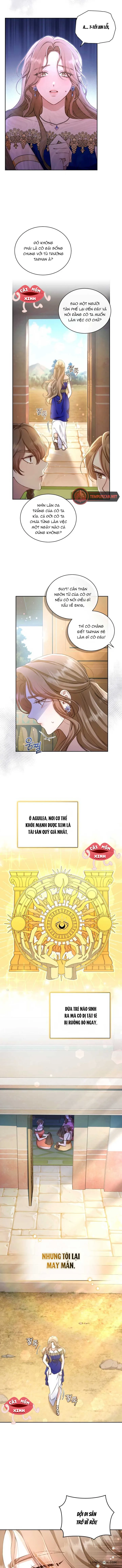 Khu Rừng Hoang Dã - Chap 1 - Trang 1