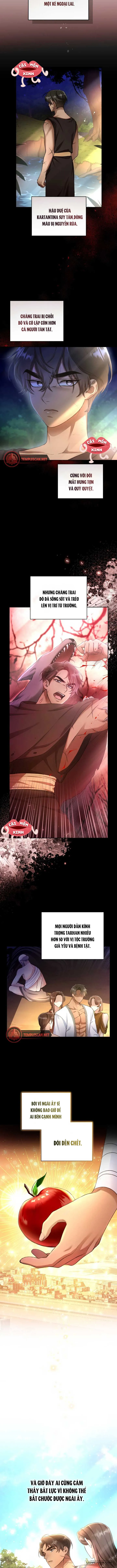 Khu Rừng Hoang Dã - Chap 1 - Trang 3