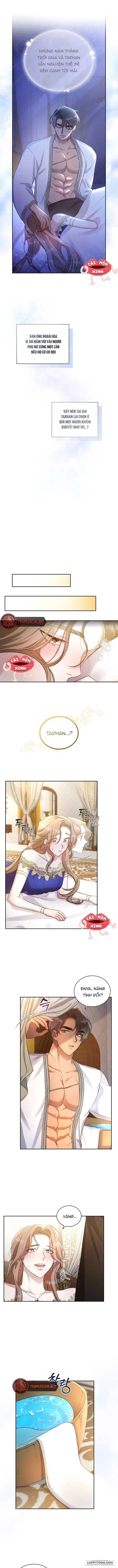 Khu Rừng Hoang Dã - Chap 1 - Trang 5