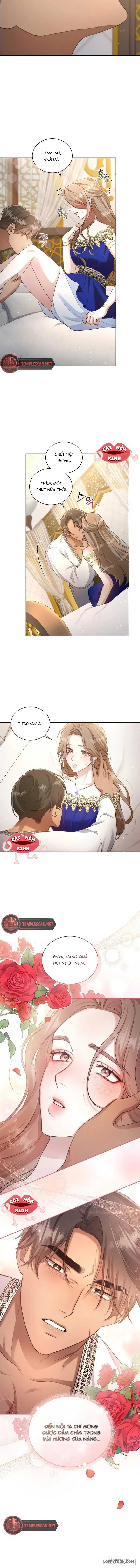 Khu Rừng Hoang Dã - Chap 1 - Trang 8