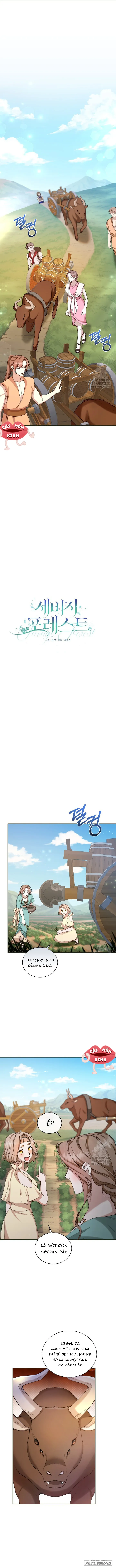 Khu Rừng Hoang Dã - Chap 13 - Trang 0