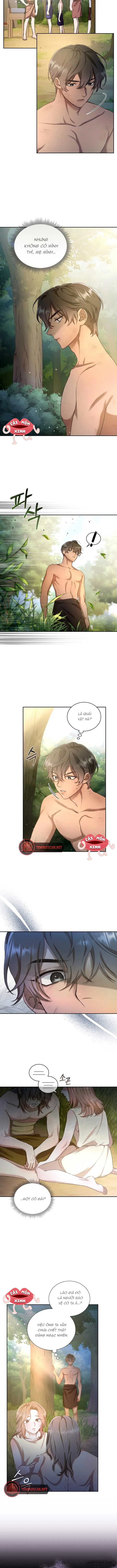 Khu Rừng Hoang Dã - Chap 2 - Trang 3