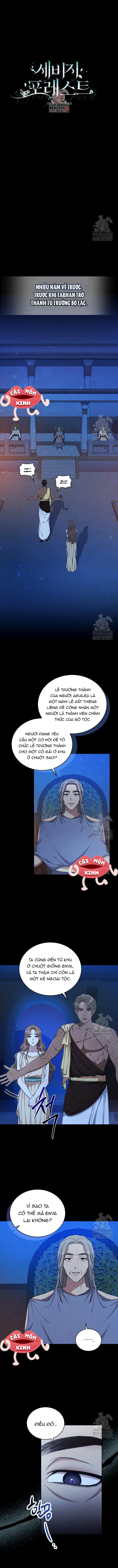Khu Rừng Hoang Dã - Chap 20 - Trang 0