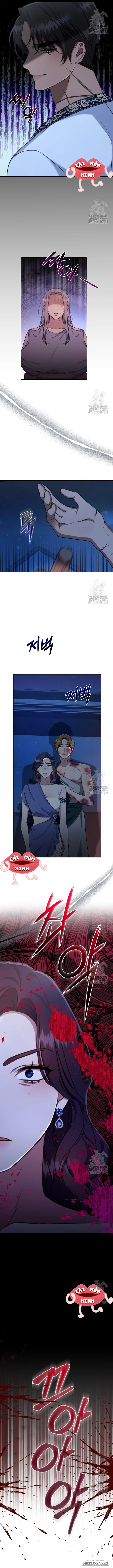Khu Rừng Hoang Dã - Chap 21 - Trang 11