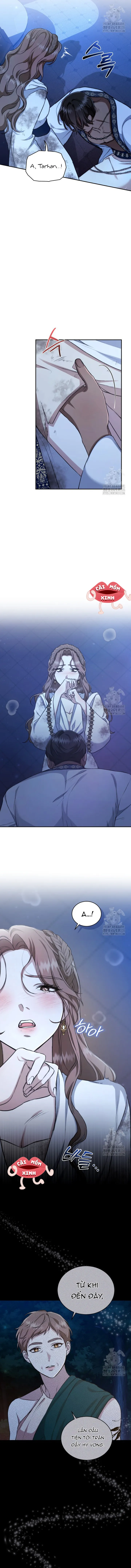 Khu Rừng Hoang Dã - Chap 22 - Trang 1