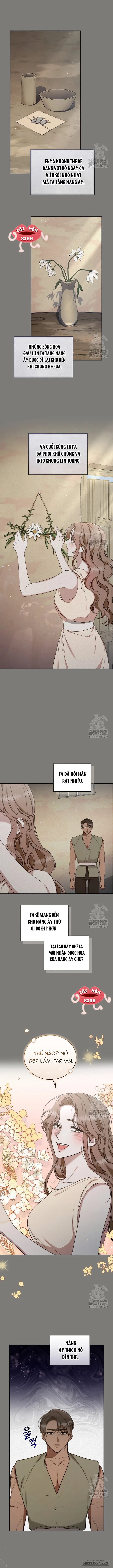 Khu Rừng Hoang Dã - Chap 26 - Trang 10