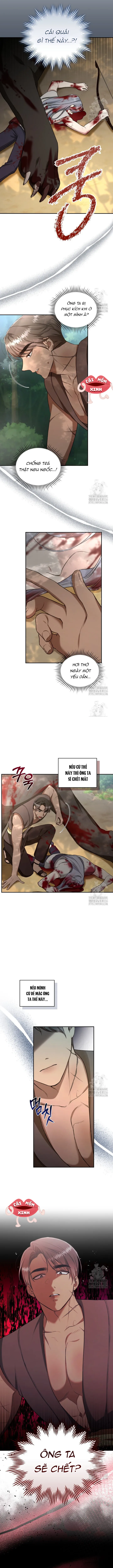 Khu Rừng Hoang Dã - Chap 28 - Trang 5