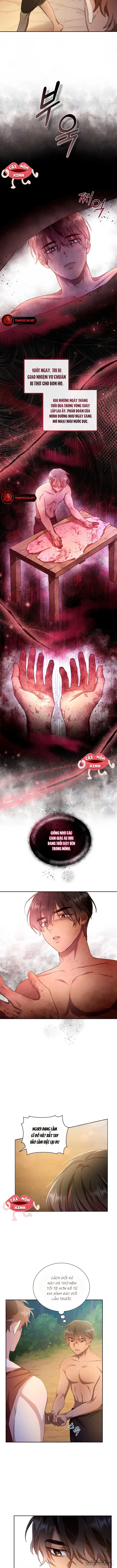 Khu Rừng Hoang Dã - Chap 3 - Trang 9
