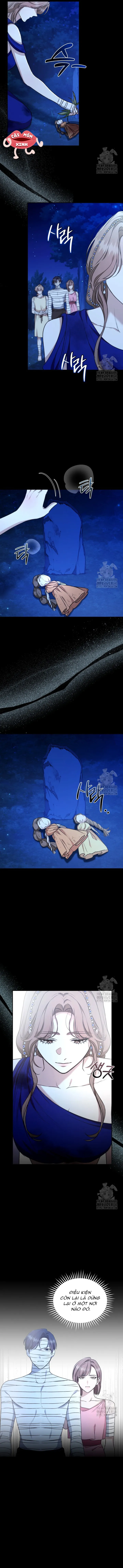 Khu Rừng Hoang Dã - Chap 32 - Trang 5