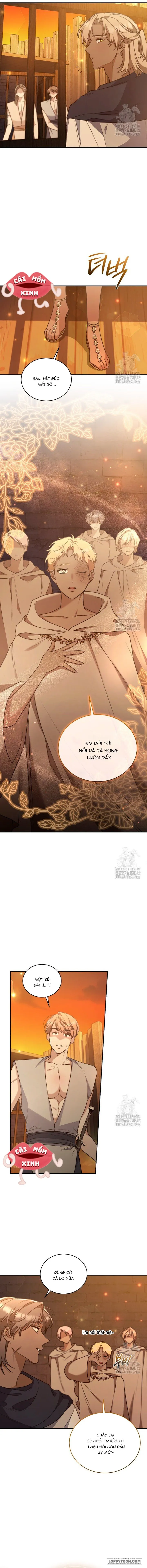 Khu Rừng Hoang Dã - Chap 37 - Trang 9