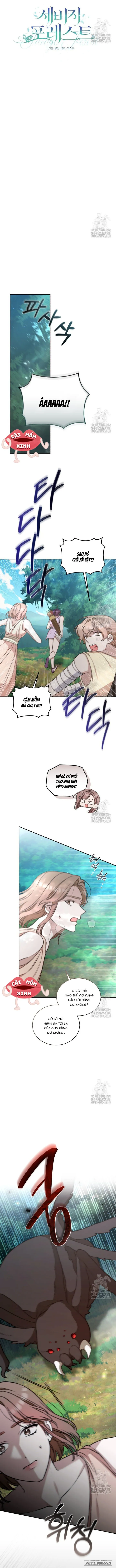 Khu Rừng Hoang Dã - Chap 39 - Trang 2