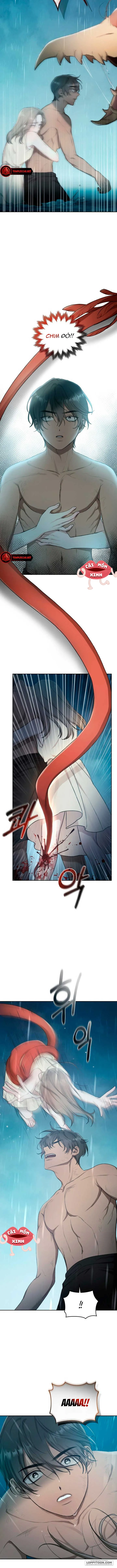 Khu Rừng Hoang Dã - Chap 4 - Trang 7