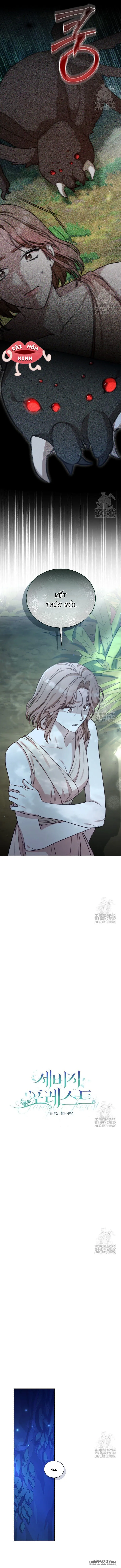 Khu Rừng Hoang Dã - Chap 40 - Trang 3