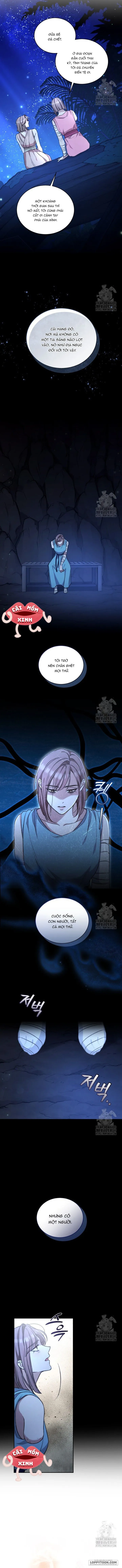 Khu Rừng Hoang Dã - Chap 40 - Trang 5
