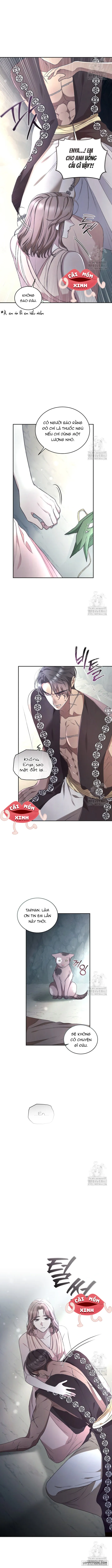 Khu Rừng Hoang Dã - Chap 47 - Trang 12