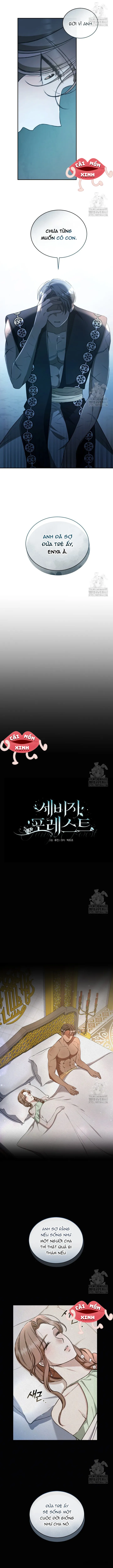 Khu Rừng Hoang Dã - Chap 47 - Trang 4