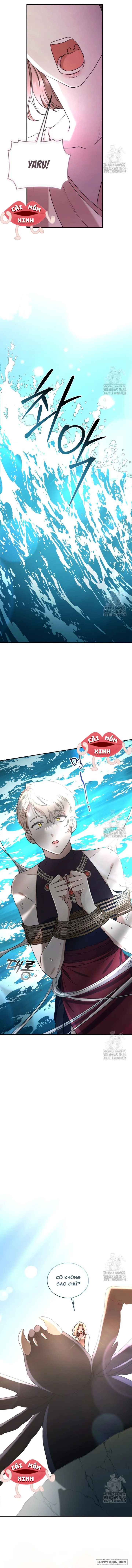 Khu Rừng Hoang Dã - Chap 48 - Trang 14