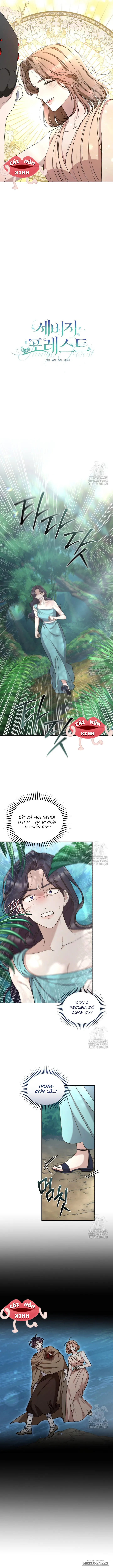 Khu Rừng Hoang Dã - Chap 49 - Trang 11