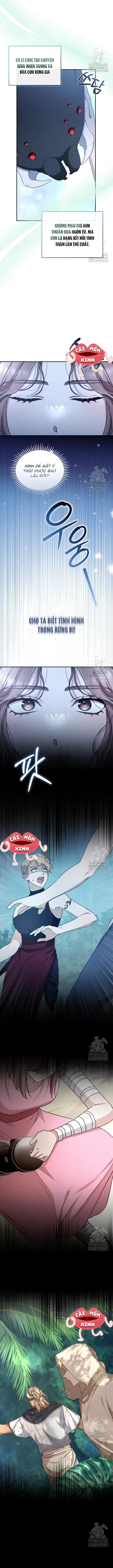 Khu Rừng Hoang Dã - Chap 49 - Trang 4
