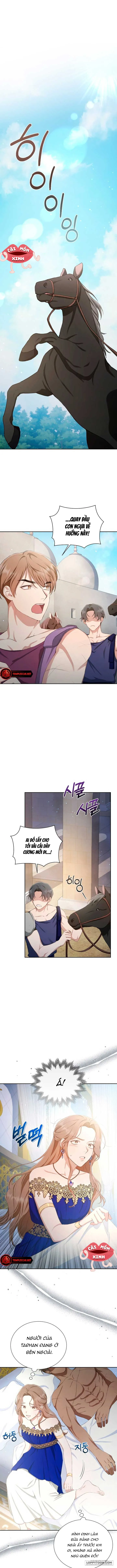 Khu Rừng Hoang Dã - Chap 5 - Trang 5