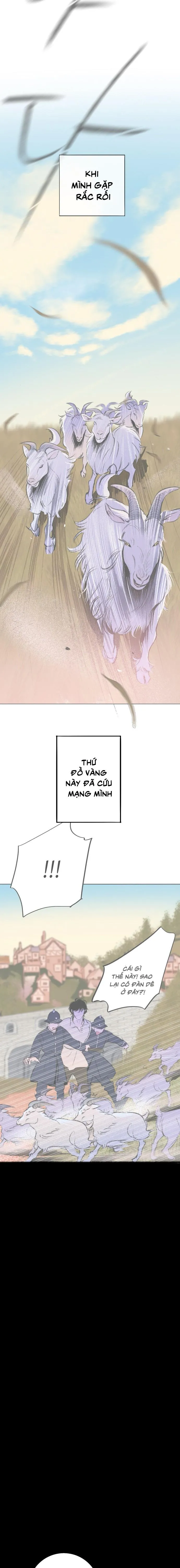 Khu Vườn Bí Mật - Chap 2 - Trang 4