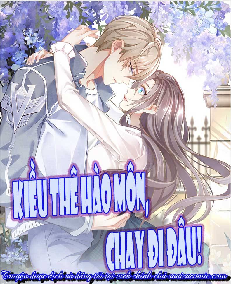 Kiều Thê Hào Môn Chạy Đi Đâu - Chap Kiều Thê Hào Môn [...] – Chap 3