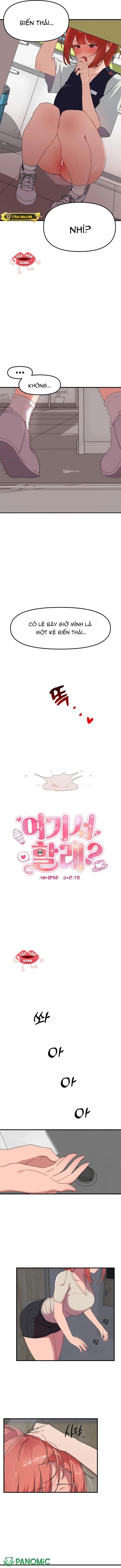 Làm Luôn Ở Đây Nhé? - Chap 1 - Trang 4