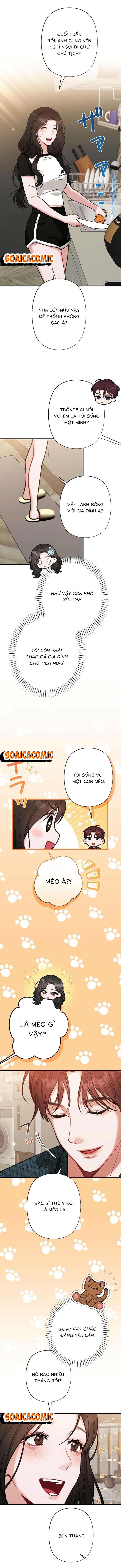 Lần Đầu Của Tổng Tài - Chap Lần Đầu Của Tổng [...] – Chap 17.2 - Trang 8