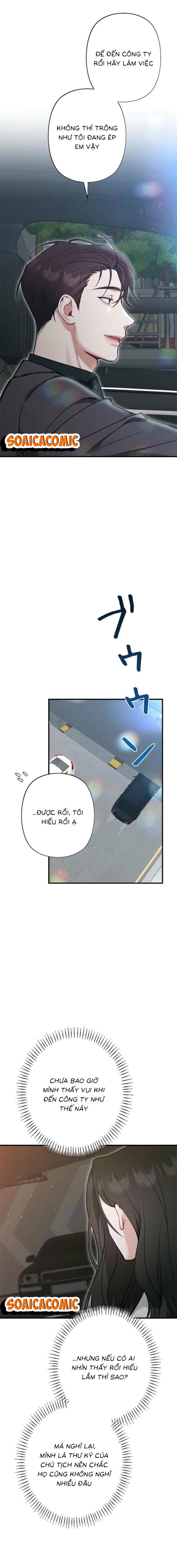 Lần Đầu Của Tổng Tài - Chap Lần Đầu Của Tổng [...] – Chap 19.1 - Trang 9