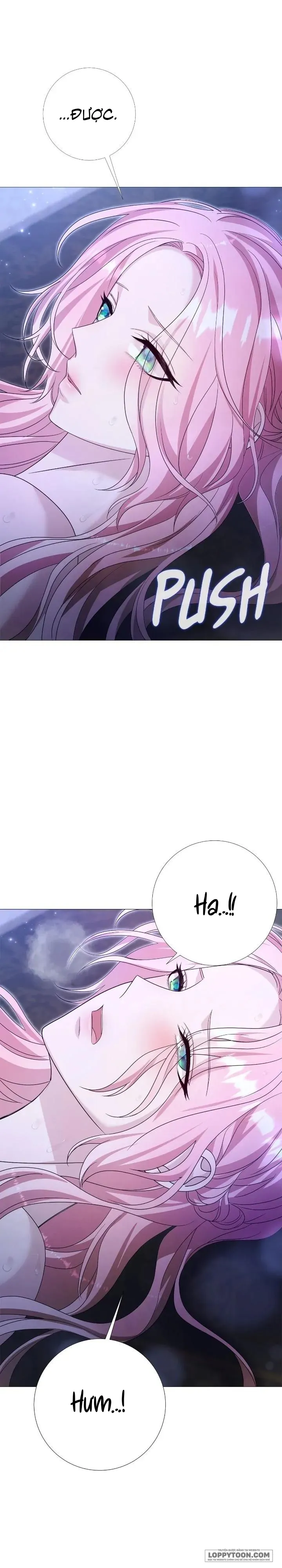 Lâu Đài Hoang Dã - Chap 8 - H+ - Trang 24
