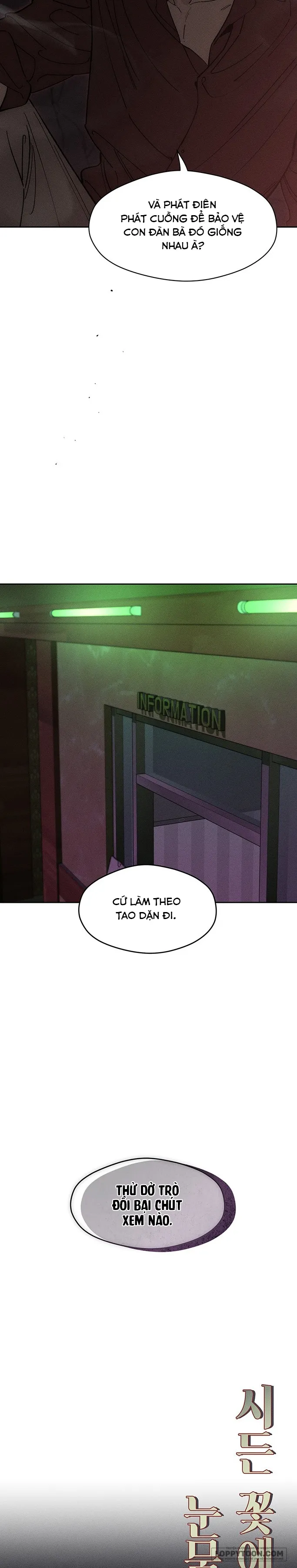 Lệ Vương Trên Cánh Hoa Tàn - Chap 80 - Trang 24