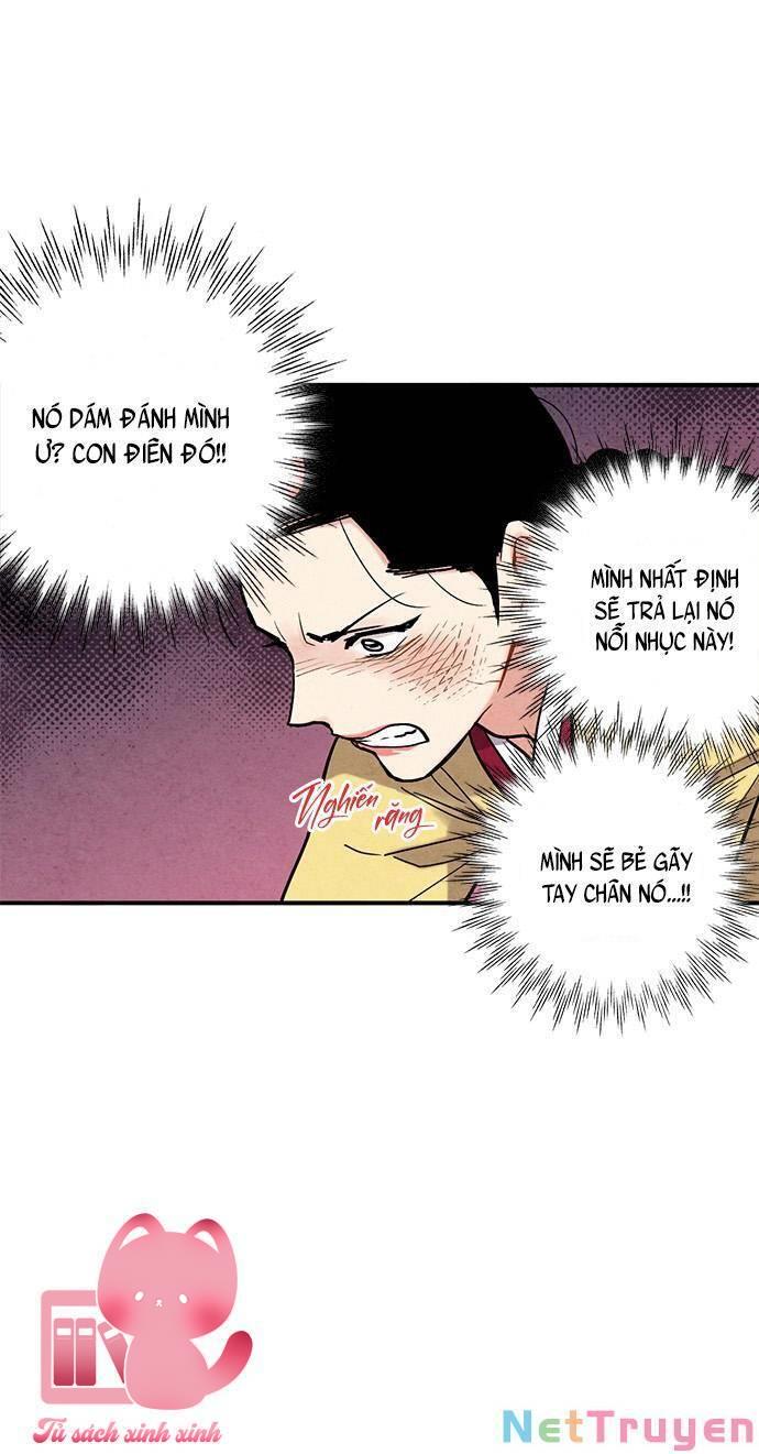 Lệnh Cấm Hôn - Chap 81