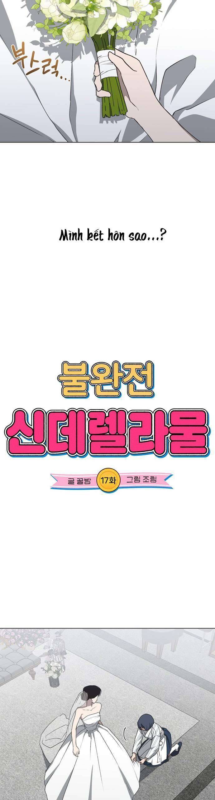 Lọ Lem Không Hoàn Hảo - Chap 17 - Trang 6