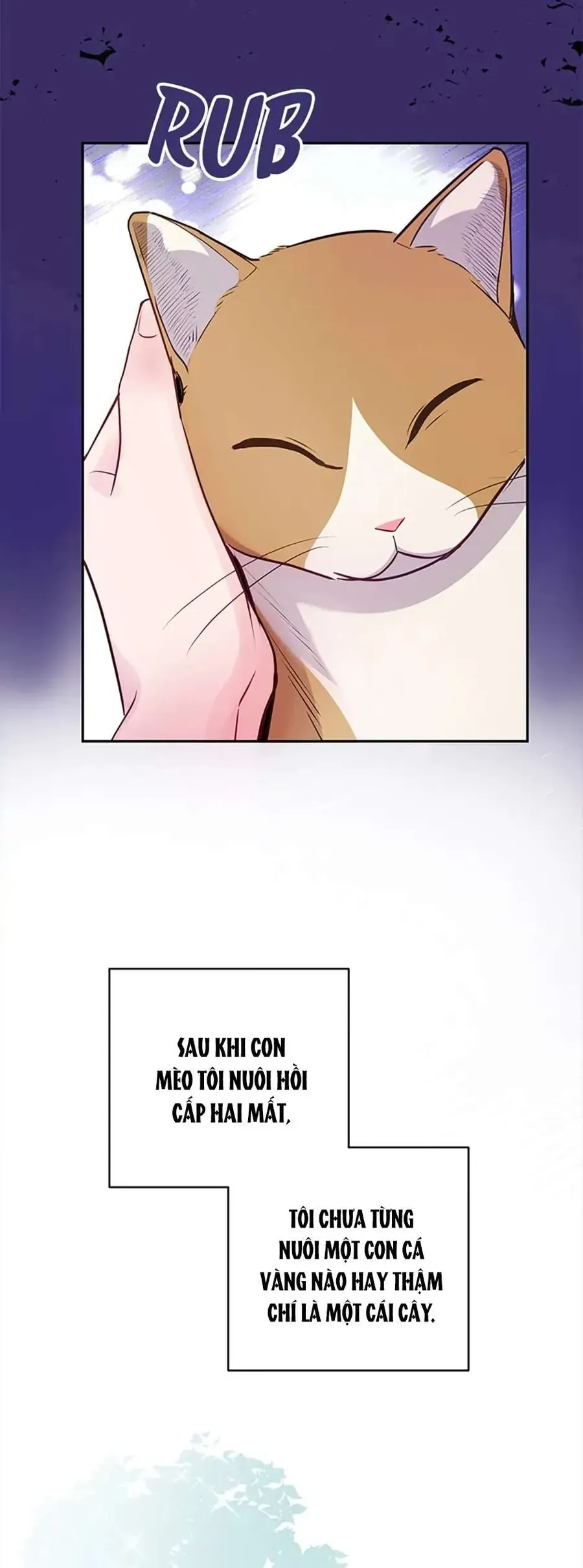 Lời Tỏ Tình Đáng Ngờ - Chap 27 - Trang 47