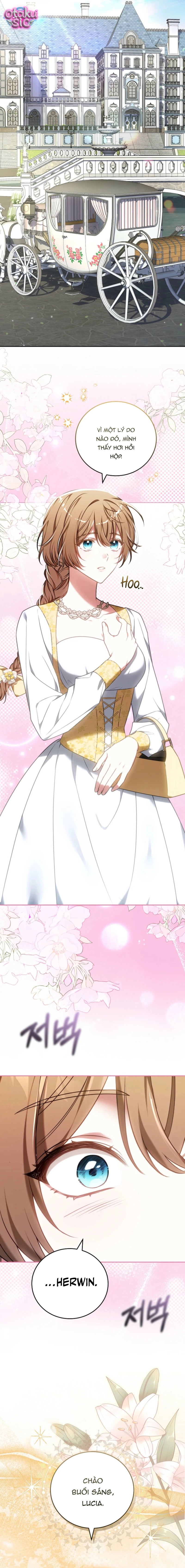 Lời Tỏ Tình Lần 101 - Chap 4 - Trang 7