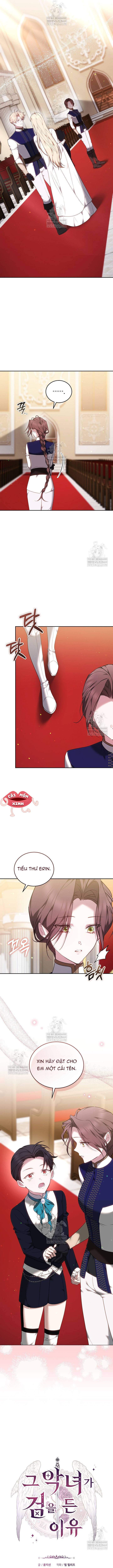 Lý Do Mà Ác Nữ Ấy Cầm Kiếm - Chap 43 - Trang 5