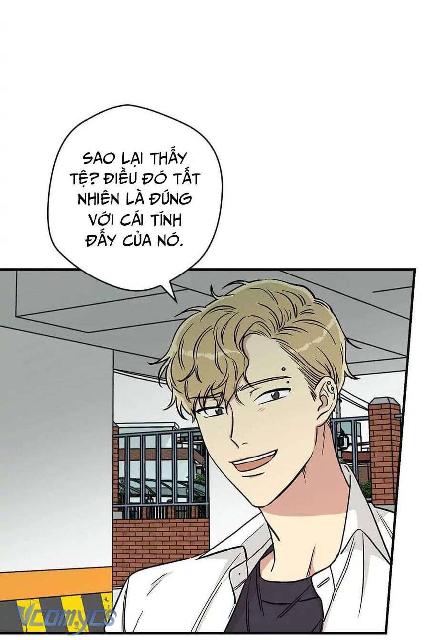 Ly Espresso Của Mùa Xuân - Chap 13 - Trang 8